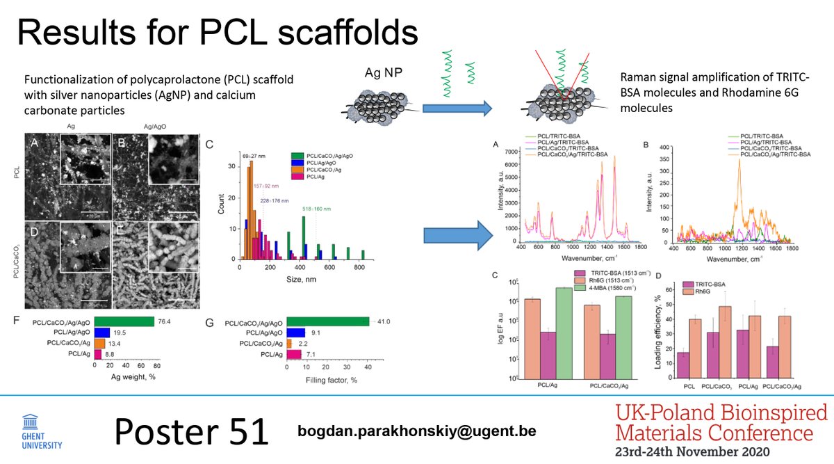 BVPvateriteLab's tweet photo. You could have a look on my poster about #hydrogel and #scaffolds for SERS #UKPLBioinspired #bioinspired #materials #OnlinePosterSession 
@ukplbioinspired https://t.co/qaaYygJU6G
