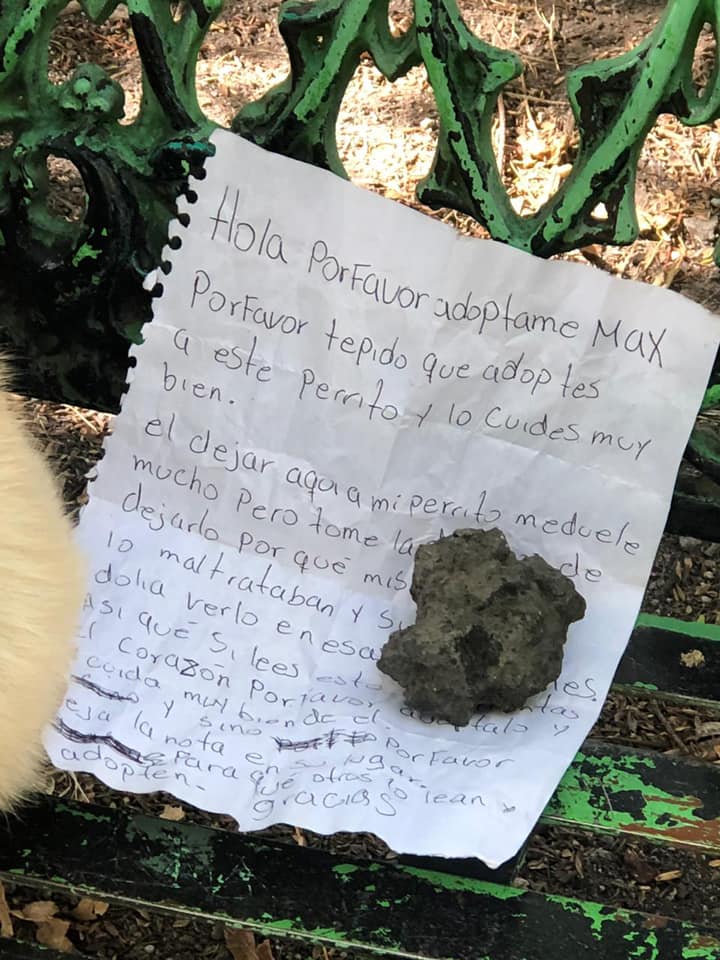 prensaanimal4's tweet photo. #Enterate #EnRedSocial se viraliza: nos reportan perrito abandonado al sur de la ciudad. Dejan recado de motivos
#AzulGA compartió una publicación en el grupo Brigada de Rescate Animal Cdmx S.U.V.A.
Qué opinan?
@AgatanCdmx
@SSC_CDMX
@PAOTmx
#consulta https://t.co/TWDrylI9ur https://t.co/V1QduaPD3k