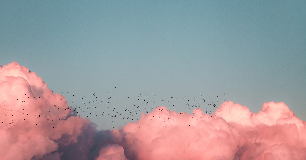 Nintex's tweet image. Did you know? You can migrate a live #InfoPath form directly to #NintexForms. If you're still relying on old, legacy #formsolutions, join @mj1603 to learn how you can modernize your #businessforms. Thu, Nov. 26 at 1pm AEDT. bit.ly/3kLr83b