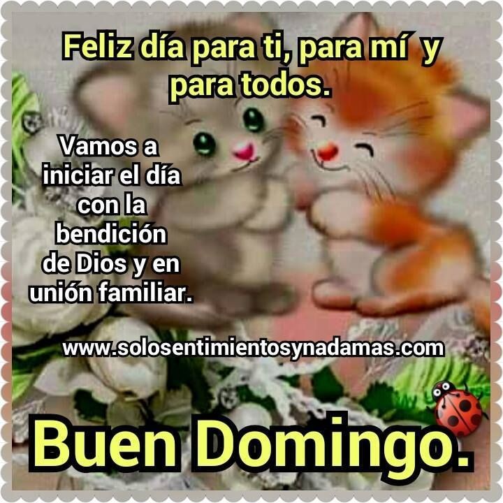 tazya5973's tweet photo. @LuigiSalcedo96 https://t.co/zP3YpJanHf