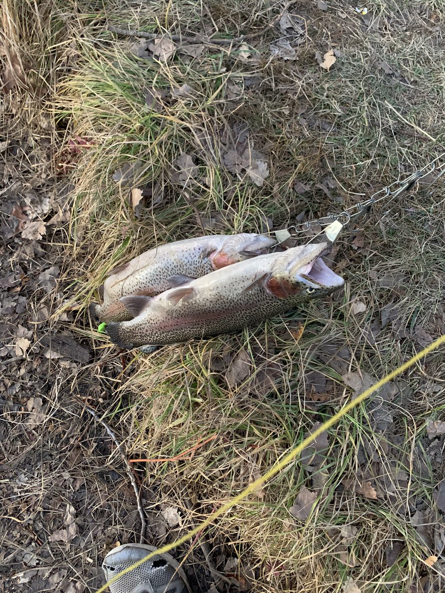 Connor_Falor's tweet photo. I’m glad I could show mom and sad how to catch fish. 🎣 https://t.co/1HNzebkOGM