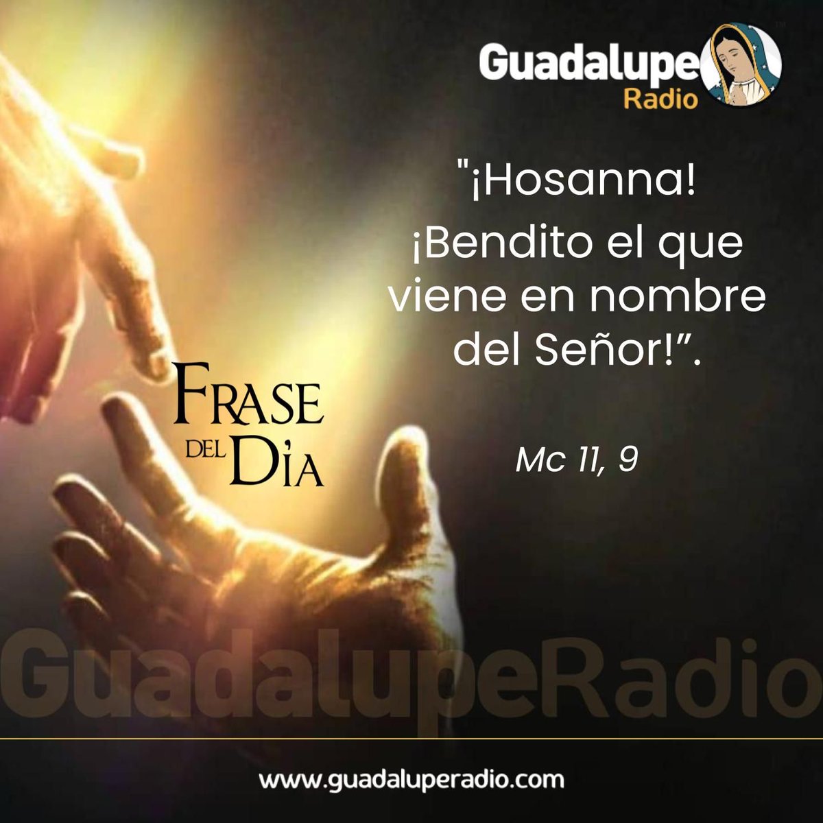 Javier Mejia (@javiermejiabarahona) • Instagram photos and videos, image size:1200x1200