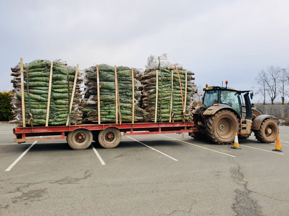 William_Blake1's tweet photo. Possibly a little boring to most, but as some will know, I am passionate about doing the right thing for the environment! So, the excitement when I found our Christmas Trees 🎄@stpetersgardencentre 
being delivered by tractor was right up there! 🤓💚 https://t.co/knxVwj4afr