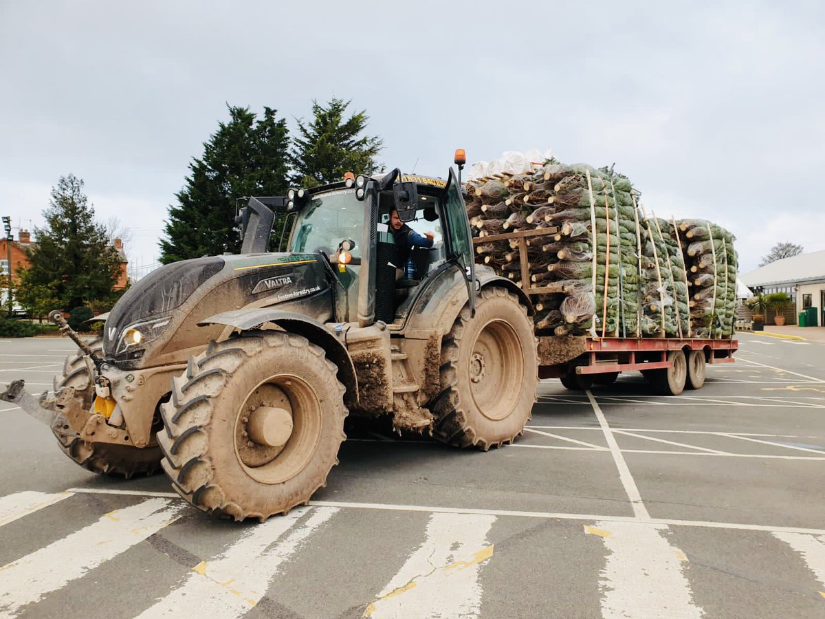 William_Blake1's tweet photo. Possibly a little boring to most, but as some will know, I am passionate about doing the right thing for the environment! So, the excitement when I found our Christmas Trees 🎄@stpetersgardencentre 
being delivered by tractor was right up there! 🤓💚 https://t.co/knxVwj4afr
