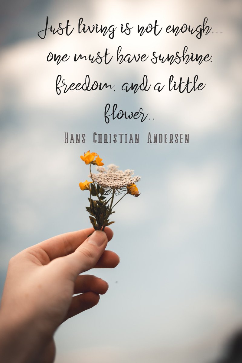 #SundayVibes

"Just living is not enough... 
one must have sunshine,
freedom, and a little flower.."

- Hans Christian Andersen