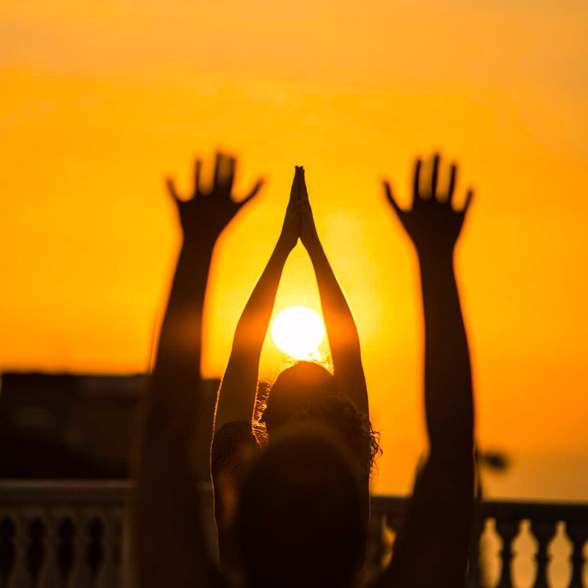 RioOtoya's tweet photo. Explore the deeper side of Sun Salutation  increasing sensitivity to your energy centres and try the deeper levels of this practice: from the physical to the spiritual. 
**To ensure the quality of the online teaching there are 8 spaces only. Register via https://t.co/8vRWl6uOvs https://t.co/It4lcXr1QC