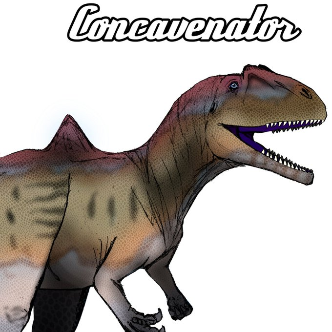 Concavenator0's tweet photo. Concavenator by @TiempoTitanes para #Dinovember2020 https://t.co/dl81gKabRw