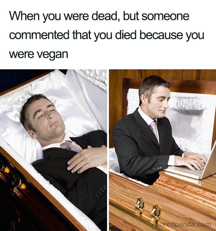 Vegan Problems tweet media