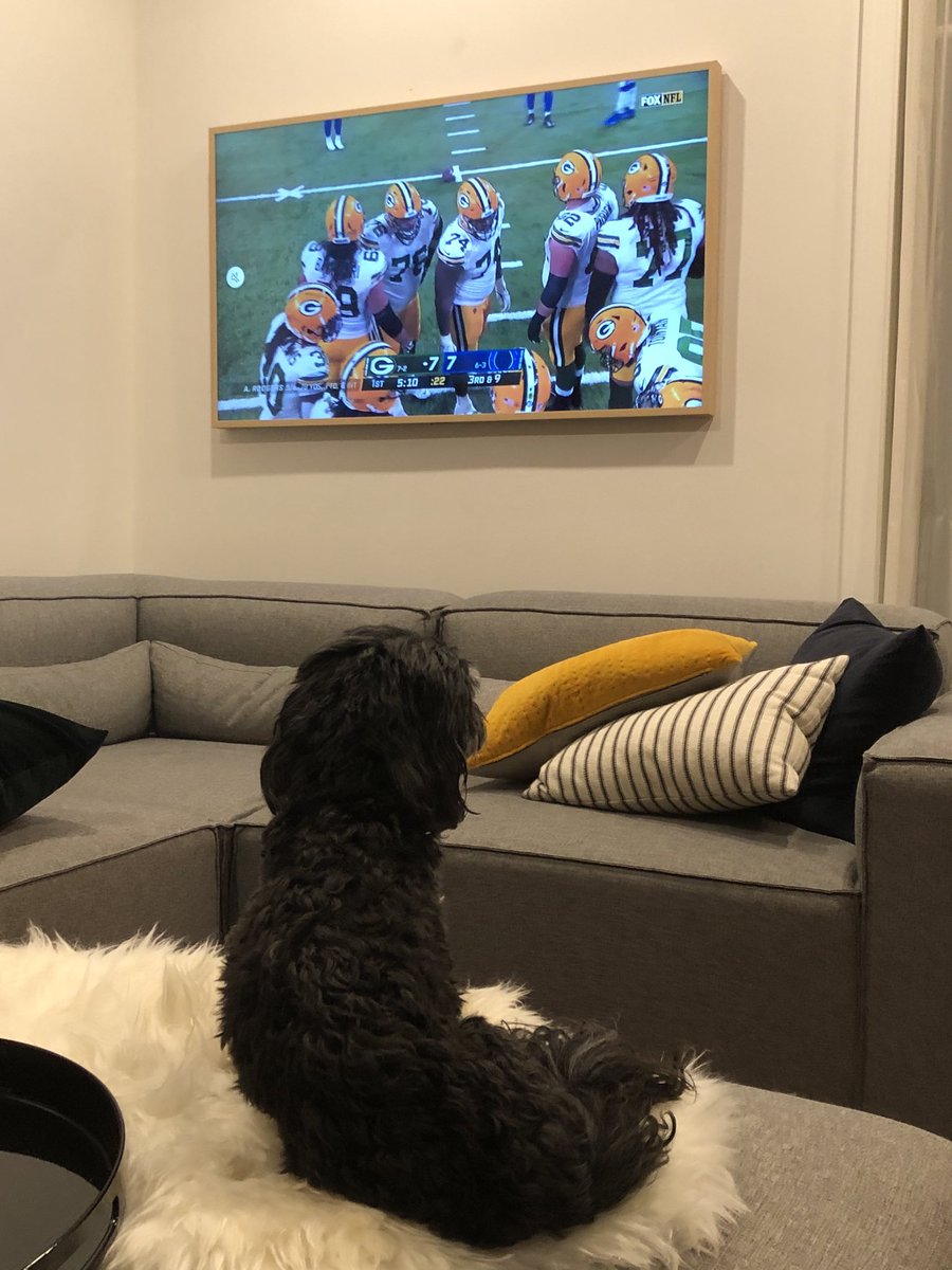 Tom Murray tweet media