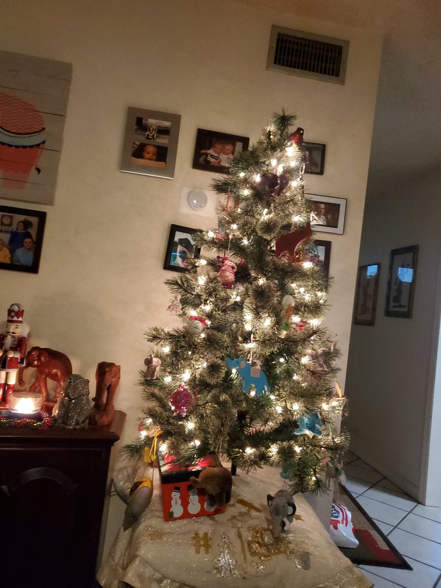 CdbLead's tweet image. Decorated and in the holiday spirit. Ready for Turkey, football and Black Friday!!