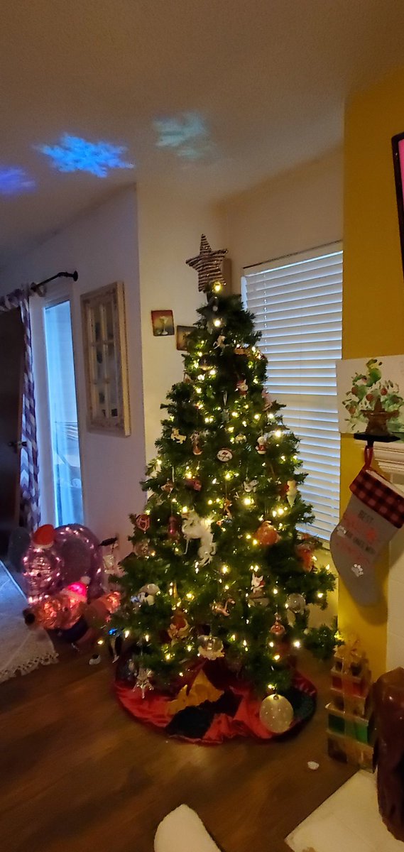 CdbLead's tweet image. Decorated and in the holiday spirit. Ready for Turkey, football and Black Friday!!