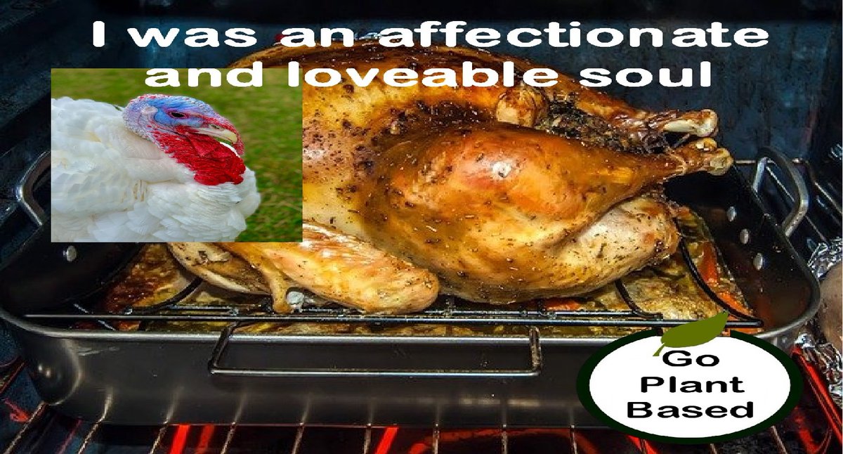 #friendsnotfood 

#thanksgivingturkey #lovable #cookingforfamily #cookinglife #cookingpassion #dinner #cookingtips #lunch #dinneridea #easydinner #quickdinner #bekindtoothers #turkey
#turkeydinner #affectionate #souls #foodfreedom #loveable #makeadifference

#plantbasedfoods