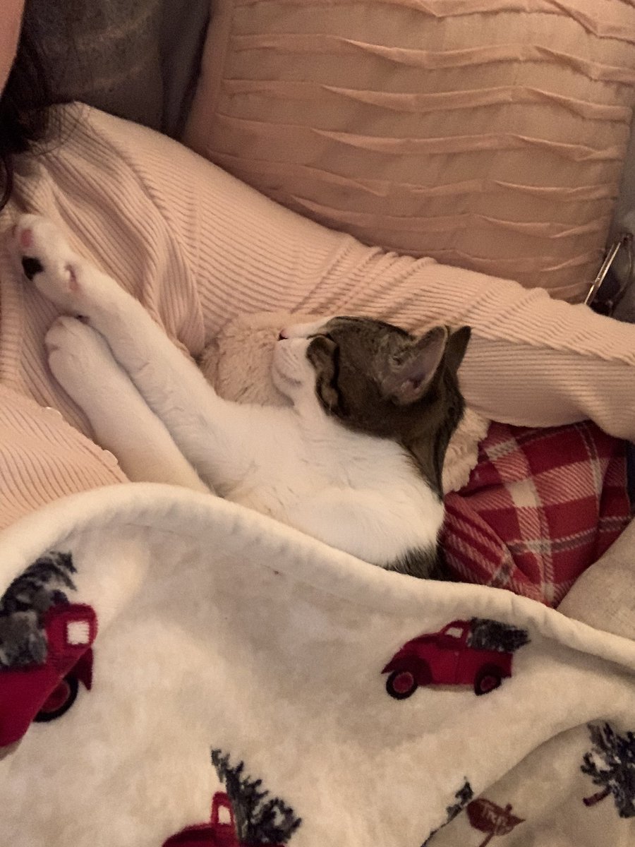 hallieween_'s tweet photo. i love him 🥺 https://t.co/XLuTdHMo8F