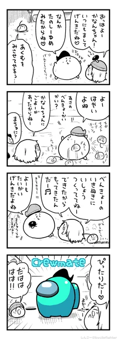 あまんぐまちゅのまちゅうら 