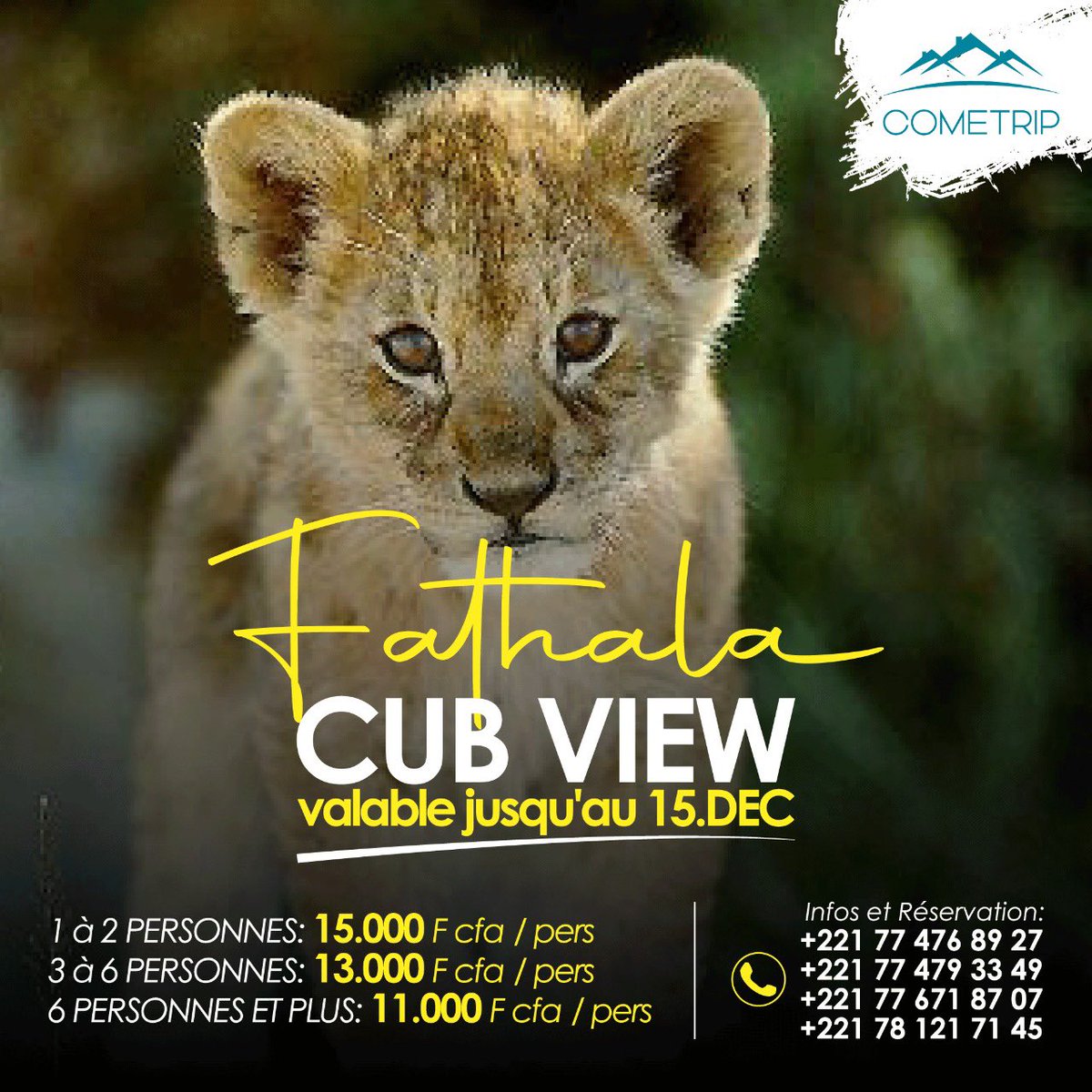 ComeTripSn's tweet photo. Cometrip, vous accompagne au Fathala Cub vieuw...

Réservez en ligne ou par téléphone
.
.
.
.
#Cometrip #Senegal #Trip #Kebetu #Discover https://t.co/fD4akzbGLH