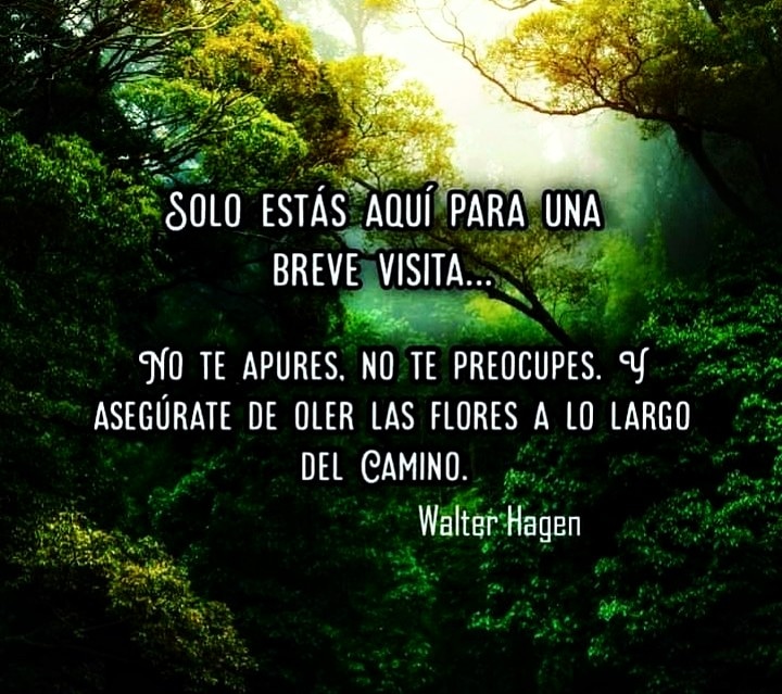 Solo estás aquí para una breve visita...

No te apures, no te preocupes. Y asegúrate 
de oler las flores 
a lo largo del camino.

-Sir Walter Hagen. Deportista. Creador del Golf profesional.

#CancerFighter 
#CancerWarrior

#CancerDeMamaSurvivor