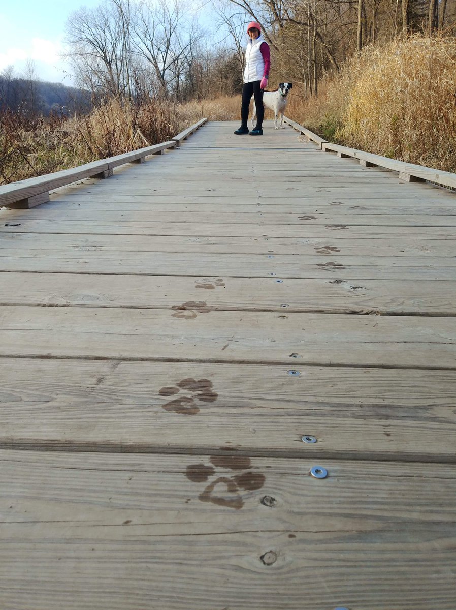 MelindaHoward4's tweet photo. Just a couple of miles in the Mines of Spain to try out my new @topoathletic #UltraventurePro🥰 #IRun4Aiden #movebetternaturally @gotailwind @SPIBELT @XOSKINUSA https://t.co/pRcxSBxNGp