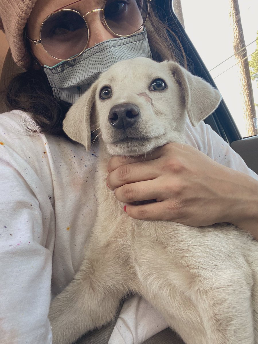 soflapina's tweet photo. Miren al chaparrito me encontré en Valle de Bravo 😢👌🏻 https://t.co/7r5YH26n0V