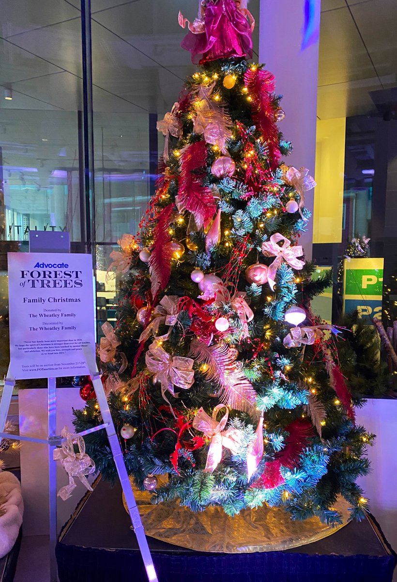 HIAACEO's tweet photo. This year’s trees🎄 at #2020FOT are absolutely beautiful ✨. If you stop by #TheDoyle, you won’t be disappointed! You can bid on these beautiful trees and much more at https://t.co/MkmPAN08xu, until Nov 28. All in support of @MentalHealthNS https://t.co/oemFfYv8p1
