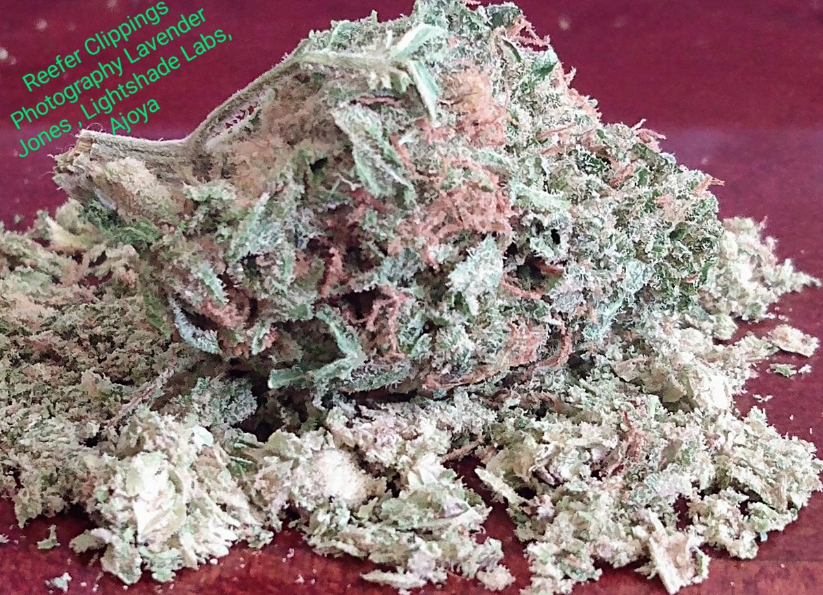 ReeferClippings's tweet photo. #ILoveMyDispensary #MMJ @Ajoyalife enjoying the latest #unwind from there today. #LavenderJones from #LightshadeLabs great flavor earthy yet delicate. #louisville #colorado #weed #cannabis #weedlife #WeedLovers #stonerfam #stonergirl #stoner #weedvsalcohol #reeferclippings https://t.co/nX5cnJa3Ow