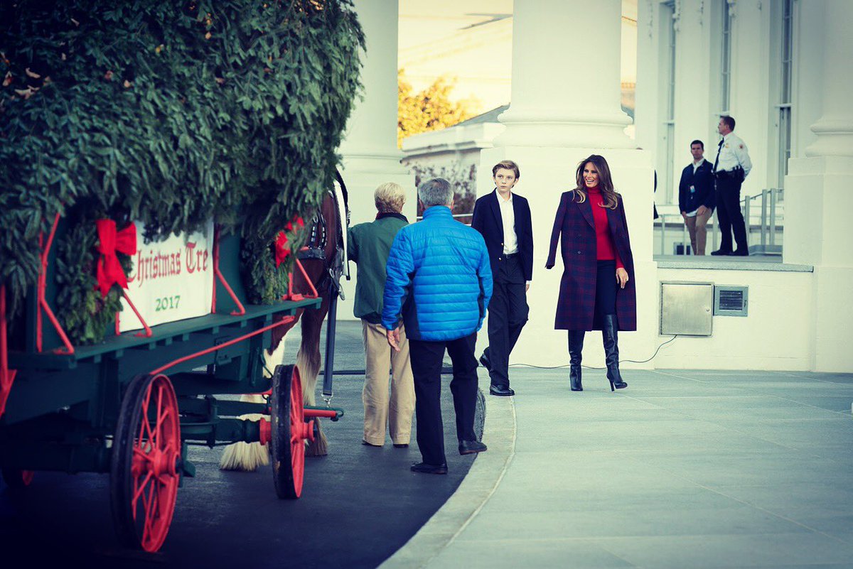 FLOTUS45's tweet image. Since 1966, the arrival of the White House Christmas Tree has become an iconic holiday tradition. This year’s tree, a lovely 18 1/2 foot Fraser Fir from Dan and Bryan Trees of West Virginia, will arrive tomorrow at the @WhiteHouse North Portico. #WHChristmas