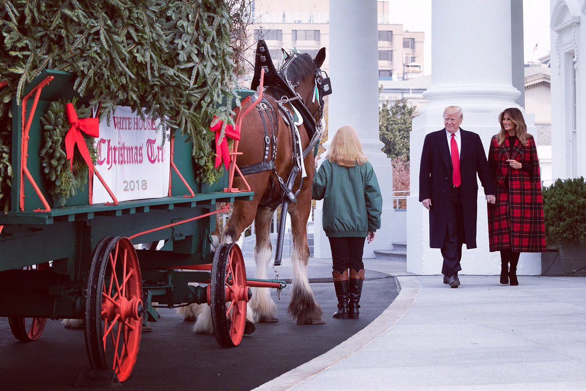 FLOTUS45's tweet image. Since 1966, the arrival of the White House Christmas Tree has become an iconic holiday tradition. This year’s tree, a lovely 18 1/2 foot Fraser Fir from Dan and Bryan Trees of West Virginia, will arrive tomorrow at the @WhiteHouse North Portico. #WHChristmas