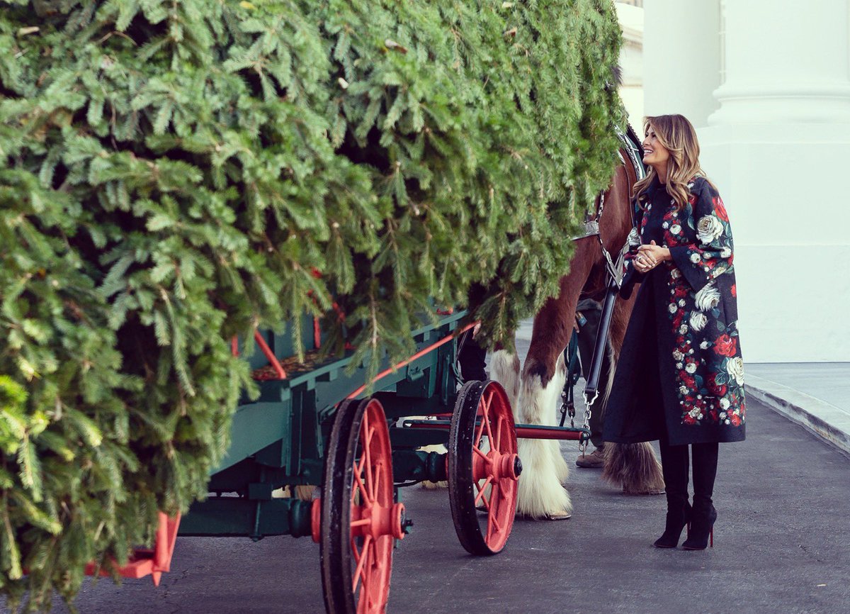 FLOTUS45's tweet image. Since 1966, the arrival of the White House Christmas Tree has become an iconic holiday tradition. This year’s tree, a lovely 18 1/2 foot Fraser Fir from Dan and Bryan Trees of West Virginia, will arrive tomorrow at the @WhiteHouse North Portico. #WHChristmas