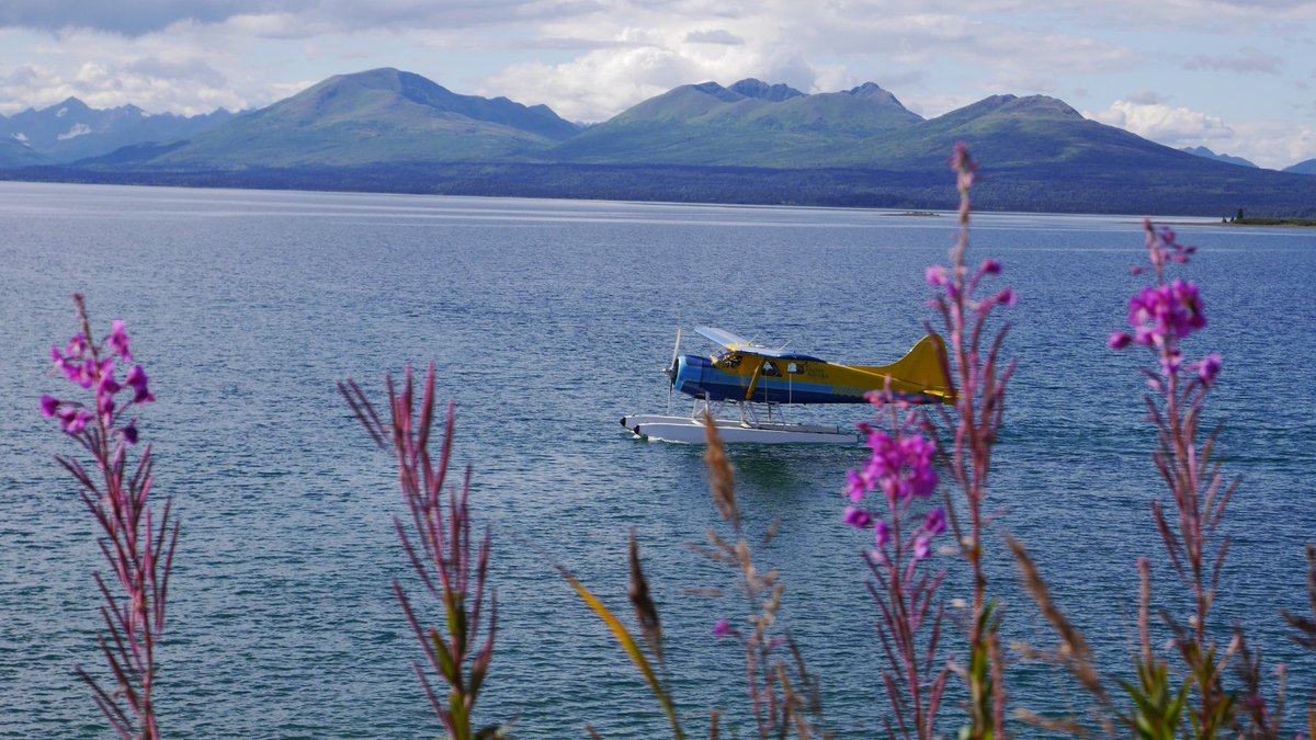DIYNetwork's tweet photo. We'll take this view outside our window, please. 😍
#BuildingAlaska is all-new tonight at 9/8c! https://t.co/p0neM9Wn5g