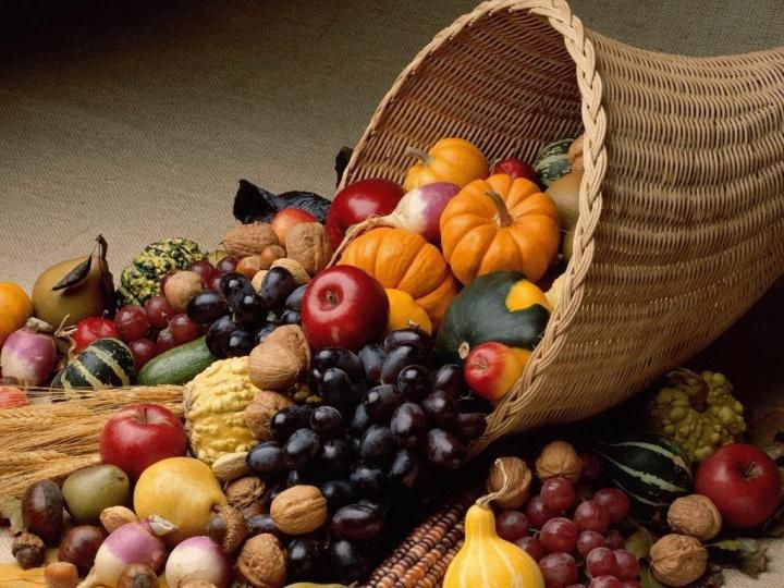 AskFlorine's tweet photo. Tune into Live in the D tomorrow (Mon, Nov 23rd) at 10 am.  I'll be talking about how viewers can make this special holiday the healthiest and best celebration yet. @4liveinthed If you're out of this station's viewing area, watch it at: https://t.co/xv4UiKN7Dl https://t.co/QExL1mtDsB