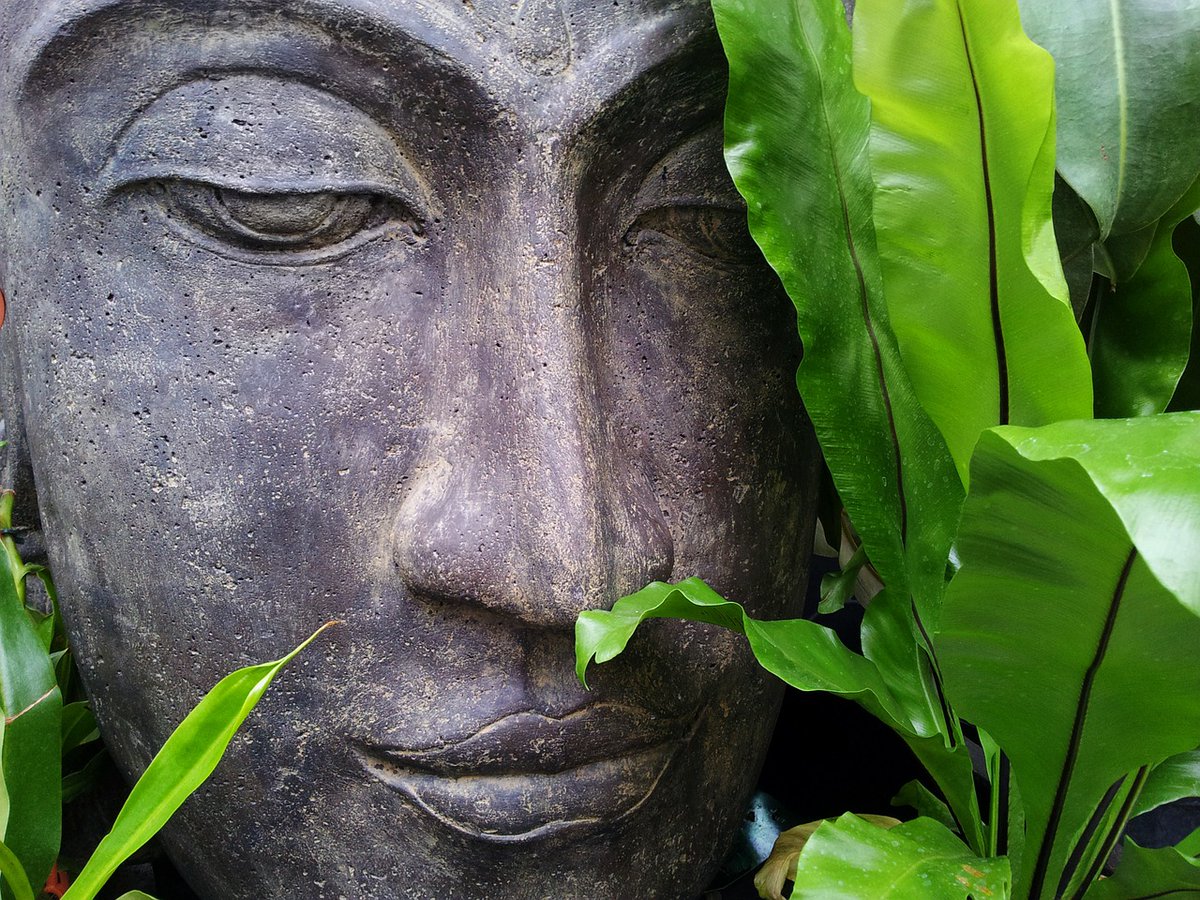GWIntegrative's tweet photo. What we're reading: Feasibility and Acceptability of a Community-Based Modified Mindfulness-Based Stress Reduction Program for the Under- and Unemployed. via @imconsortium https://t.co/qFaxyRV9kD #meditation #mindbody #mindfulness #GwRodham #GWSMHS #integrativehealth https://t.co/LxacXr8ZBF