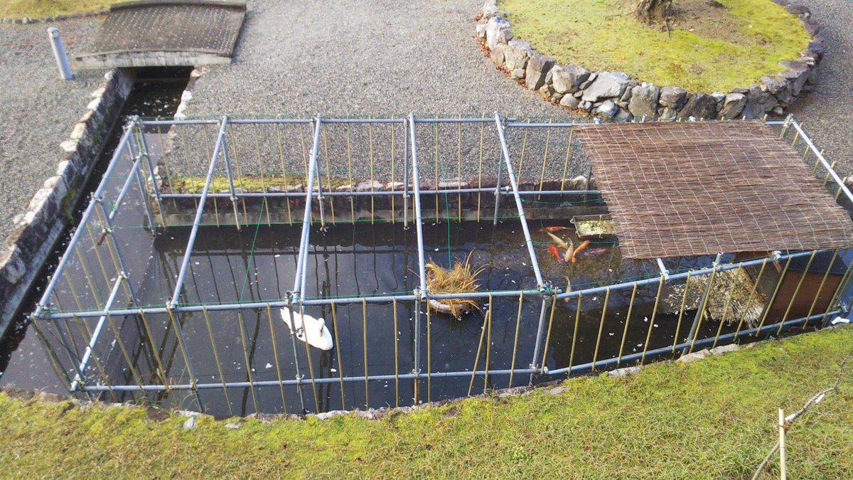 56jspccs's tweet image. 学会二日目です、よろしくお願いします！天気は良さそうです！