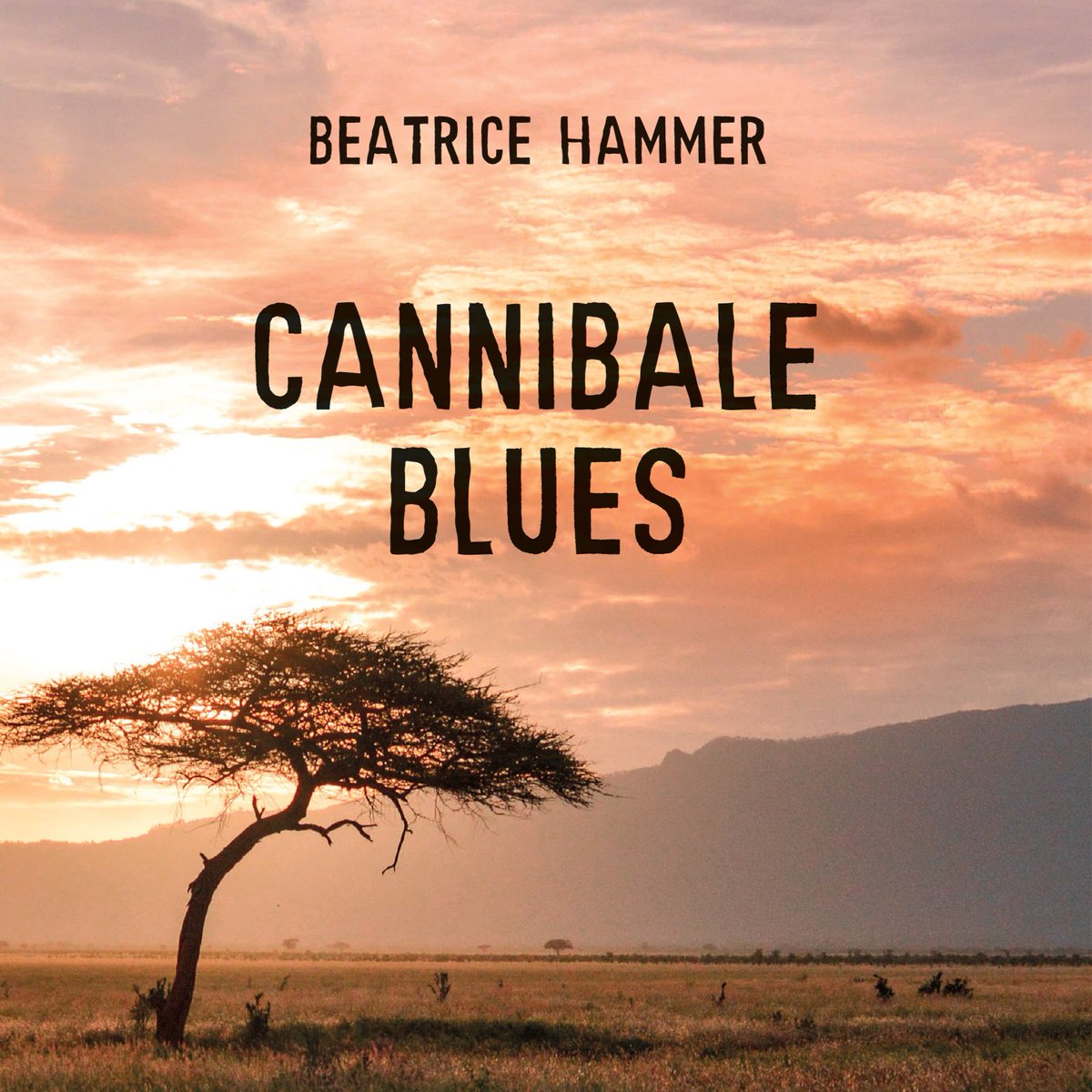 HammerBeatrice's tweet photo. A propos du roman CannibaleBlues (@ledavallon), voici une critique sur @babelio2 par Dannso 
https://t.co/ikjTxwxBz2
#roman #littérature #avis #lecture  #chronique #Afrique #expatriés #humour #contemporain https://t.co/0yb3Ebo7OO