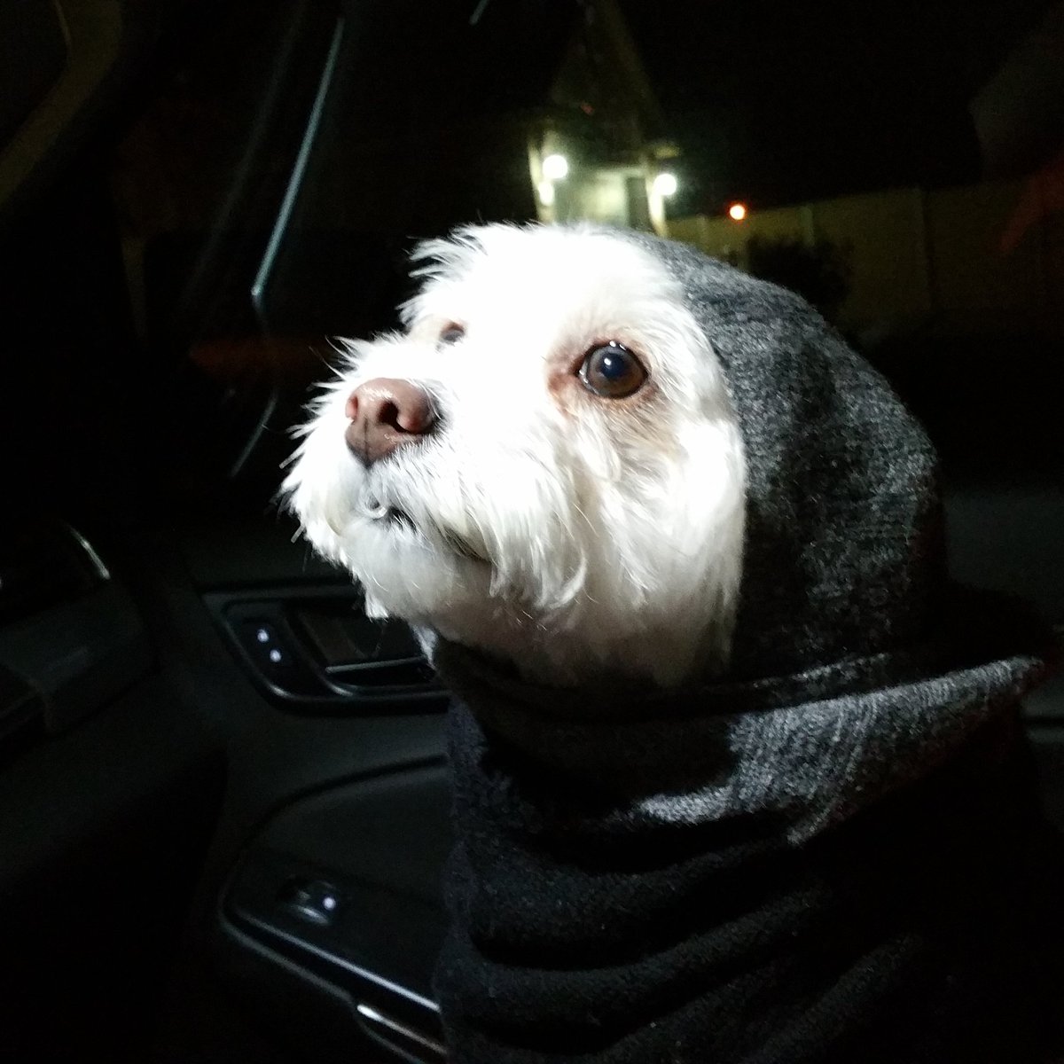 Berry Lowman tweet media