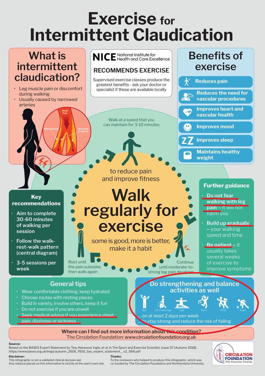 icorvilud's tweet photo. @LSerratosa @NICEComms @MichaelPapadak2 @SSharmacardio @BJSM_BMJ @zigorMM @s_gati @EAPCPresident @ESCardioNews @DrJTriasDeBes @Cardio_delaGuia Exhaustive compilation of recommended exercise for #peripheralarterydisease #PAD
It includes advice on strenght, balance, warning symptoms and training progress (gradual, fearless, patient)
#vascularprotection #exerciseworks #exerciseismedicine #cardiotwitter #Training #rehab https://t.co/TUyZQEuFHf