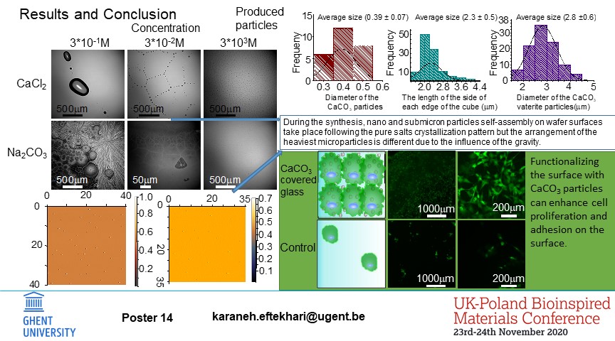 karaneh7's tweet photo. Check out my poster on bioinspired materials for
@UKPLBionspired conference.
#UKPLBioinspired #bioinspired #materials #onlinepostersession 
Poster number: 14
@BVPvateriteLab https://t.co/kLOQFRg0Iy