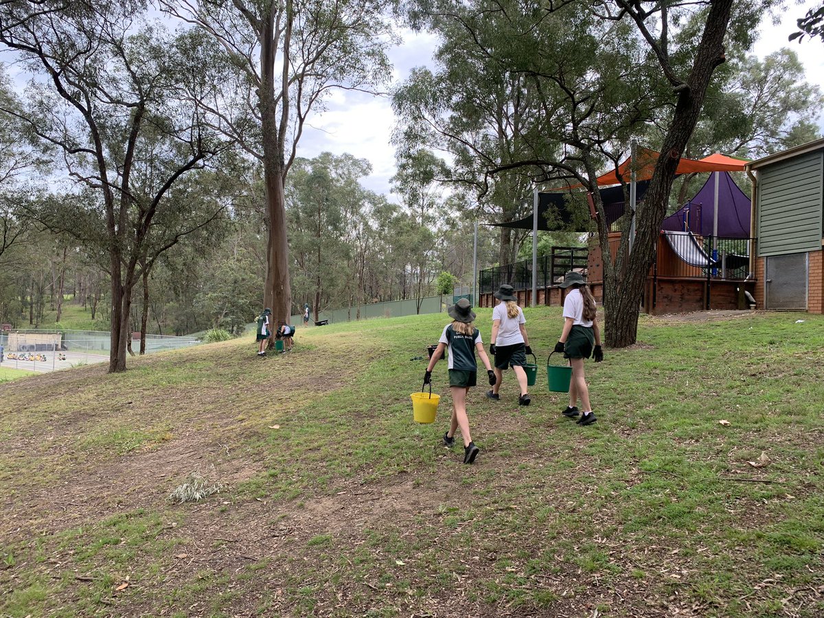 Grose View Public School tweet media