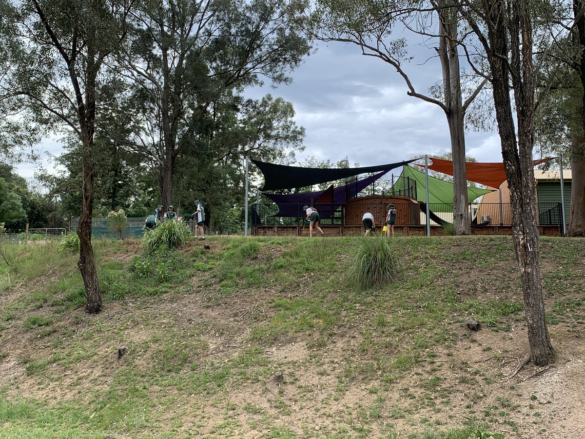 Grose View Public School tweet media