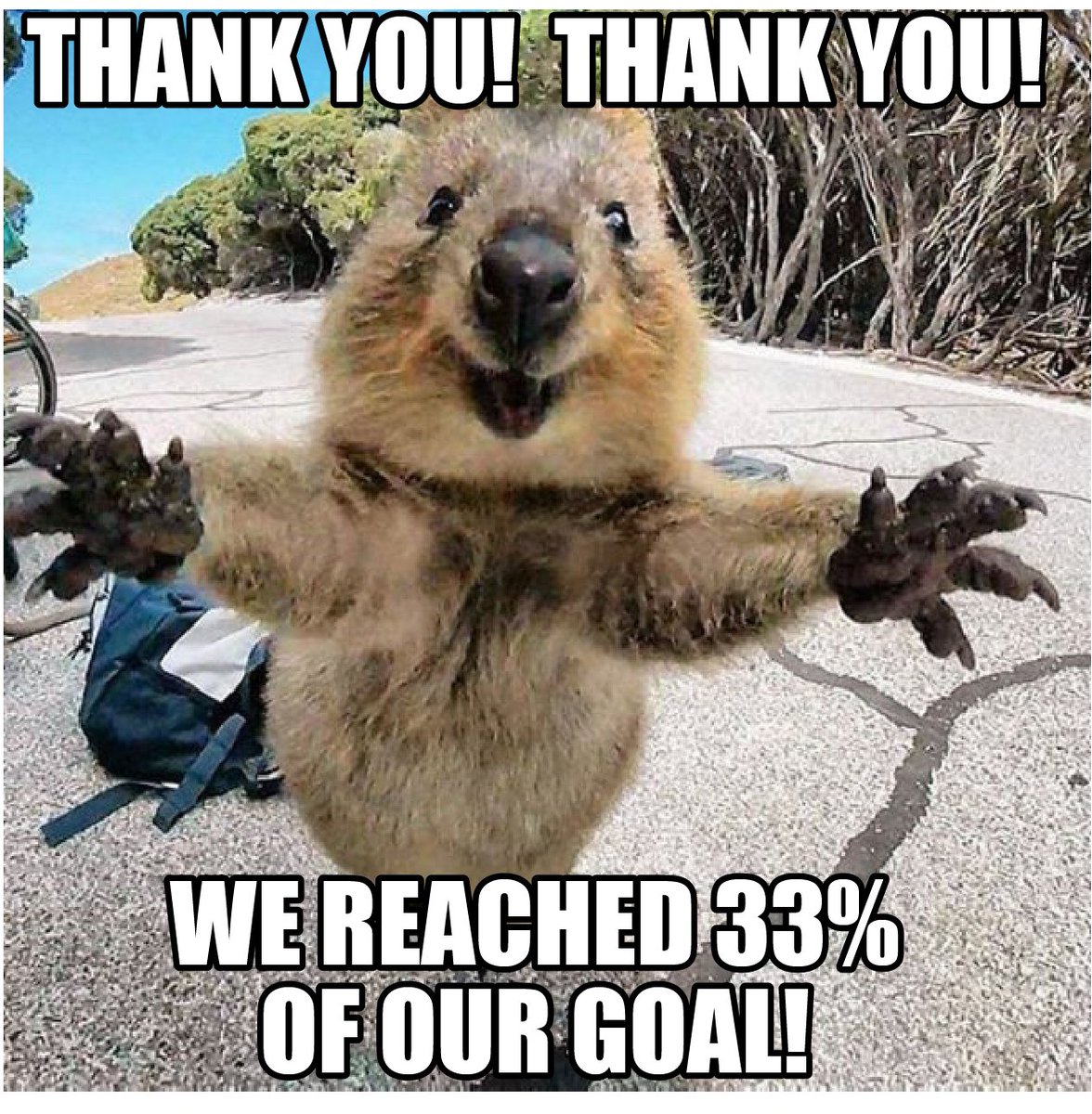 RightInLeftLane's tweet photo. We made it to 33% of our goal! @christinaxan @KevinIsLucky #indiefilm #comedymeme #crowdfundingcampaign #funnymeme https://t.co/9Jy9xLkzhg