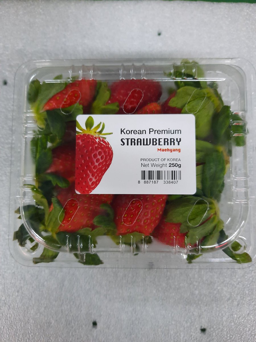 Nuj53886874's tweet photo. 🍓 #สตอเบอรี่เกาหลี หวานหอม
น้องน่ารัก อร่อยด้วยคะ สดๆเลยคะ
บินตรงจากKorea
✅ถาดละ 8แพ็ค/แพ็คละ 250g
✅ราคา 1,950 💥พร้อมส่งฟรีรถห้องเย็น
✅กทม.และพื้นที่ใกล้เคียง 
🎀���่งด่วน ส่งGrab
สอบถามได้คะ
☎/ line 0635962428
#ร้านiamfruits #iamfruits #ผลไม้ 
#สตอเบอรี่ #ตลาด #ต่างประเทศ https://t.co/4jPRQjNRDf