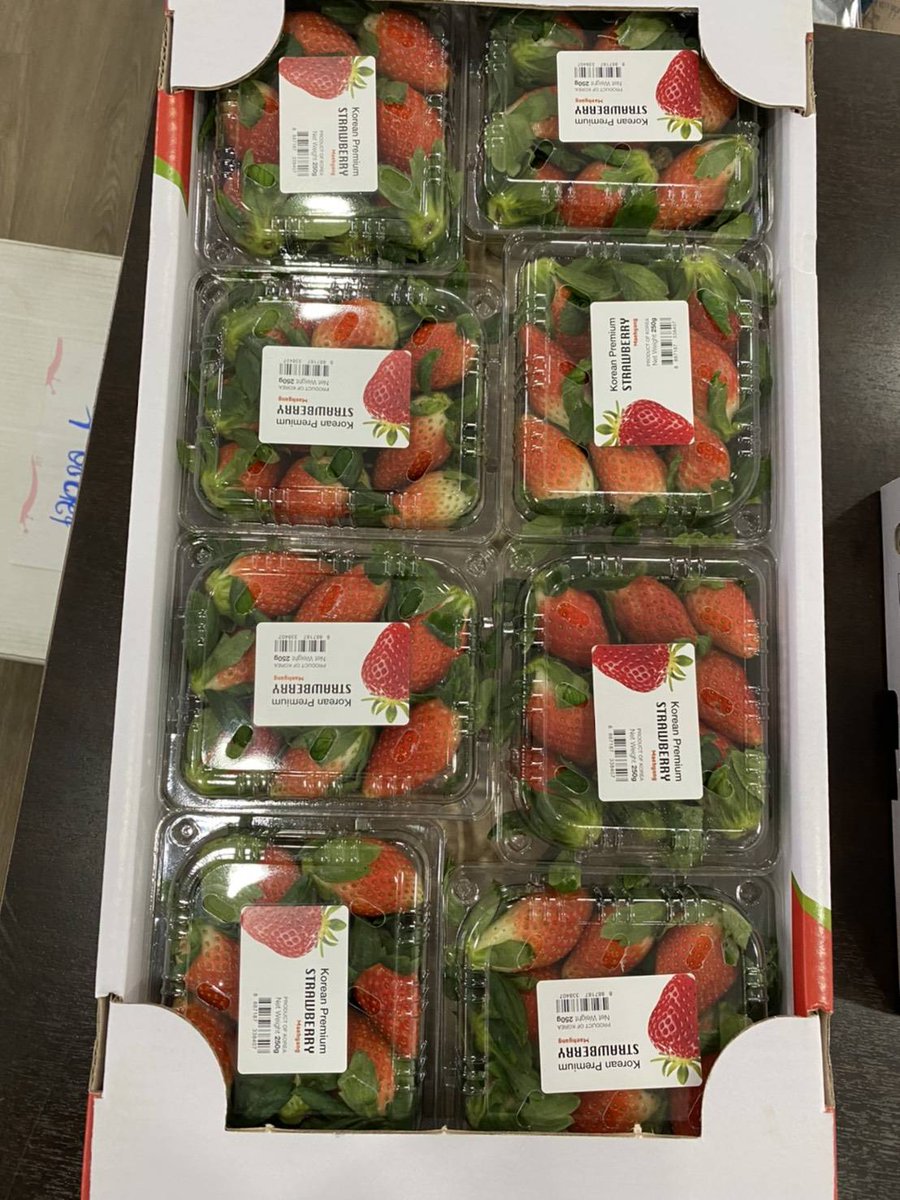 Nuj53886874's tweet photo. 🍓 #สตอเบอรี่เกาหลี หวานหอม
น้องน่ารัก อร่อยด้วยคะ สดๆเลยคะ
บินตรงจากKorea
✅ถาดละ 8แพ็ค/แพ็คละ 250g
✅ราคา 1,950 💥พร้อมส่งฟรีรถห้องเย็น
✅กทม.และพื้นที่ใกล้เคียง 
🎀���่งด่วน ส่งGrab
สอบถามได้คะ
☎/ line 0635962428
#ร้านiamfruits #iamfruits #ผลไม้ 
#สตอเบอรี่ #ตลาด #ต่างประเทศ https://t.co/4jPRQjNRDf