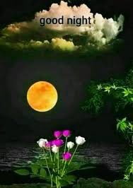 Gayane tweet media