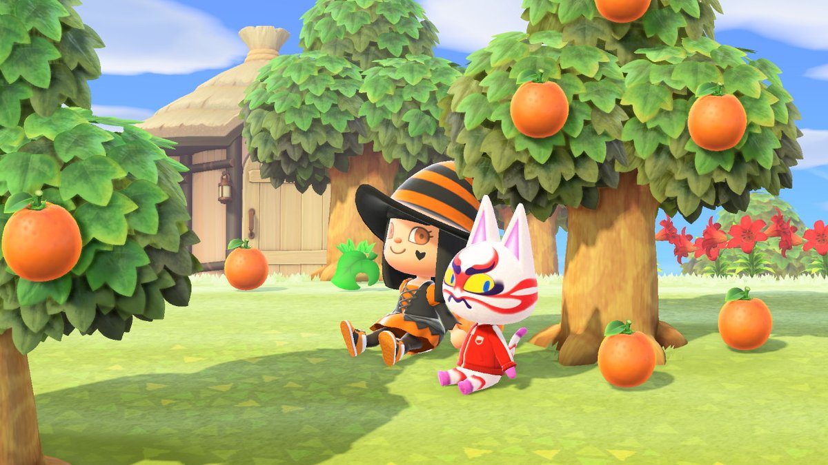 #AnimalCrossing #ACNH #NintendoSwitch