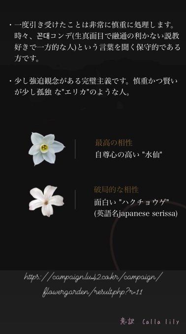 花占いのtwitterイラスト検索結果