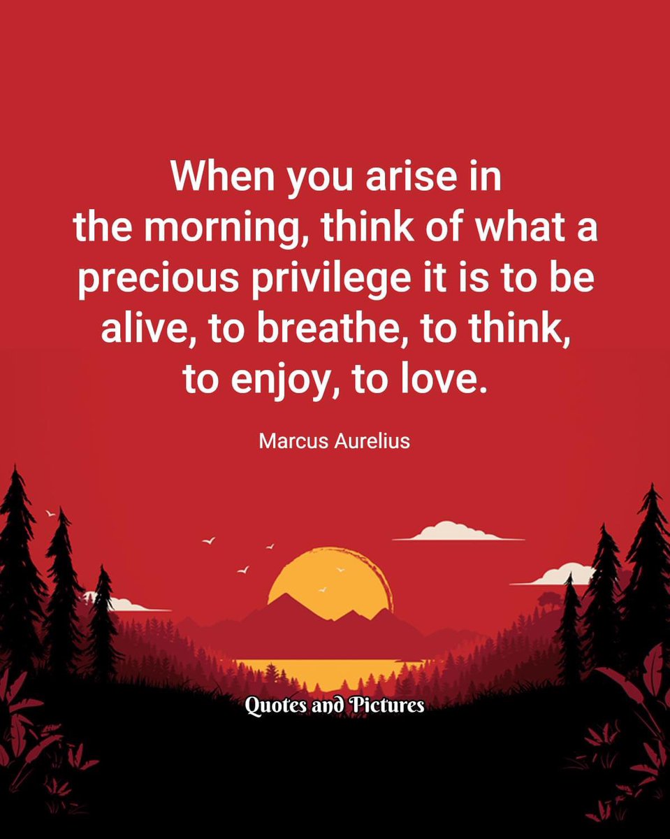 kdk249's tweet image. 