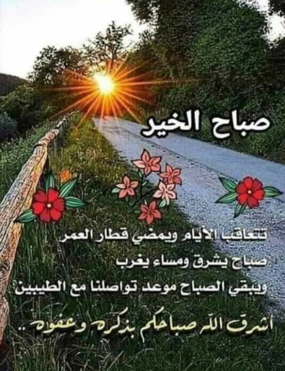 Joe (@JoeGh48066034) on Twitter photo 23/11/2020 04:54:21 @DIVADI9 @Hussein95310181 @DIVADI9 @Hussein95310181