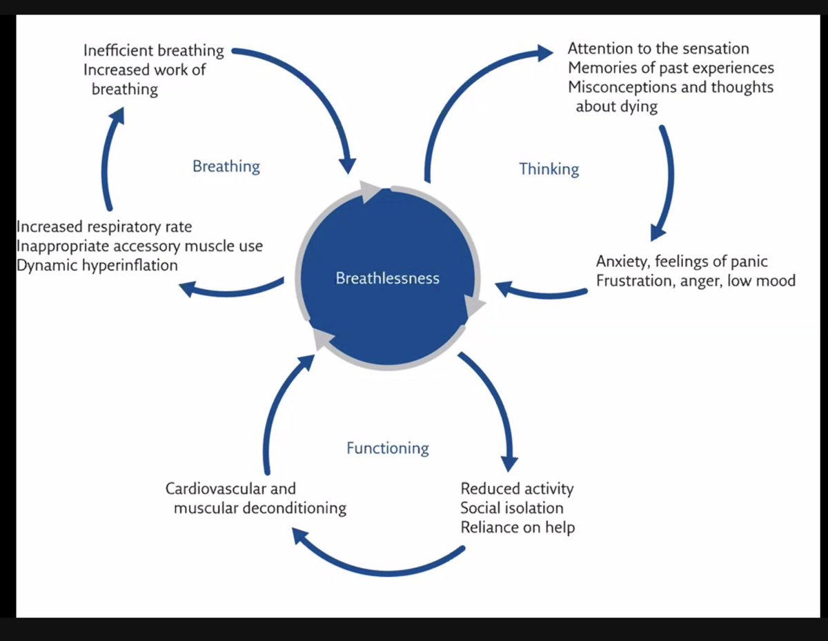 gdyagra's tweet photo. Our thinking affects our breathing and functioning. Dealing with #breathlessness -- as delivered by Dr Tom Realiza #BEST2020 #IPM2020 https://t.co/JgwqZ8dzch