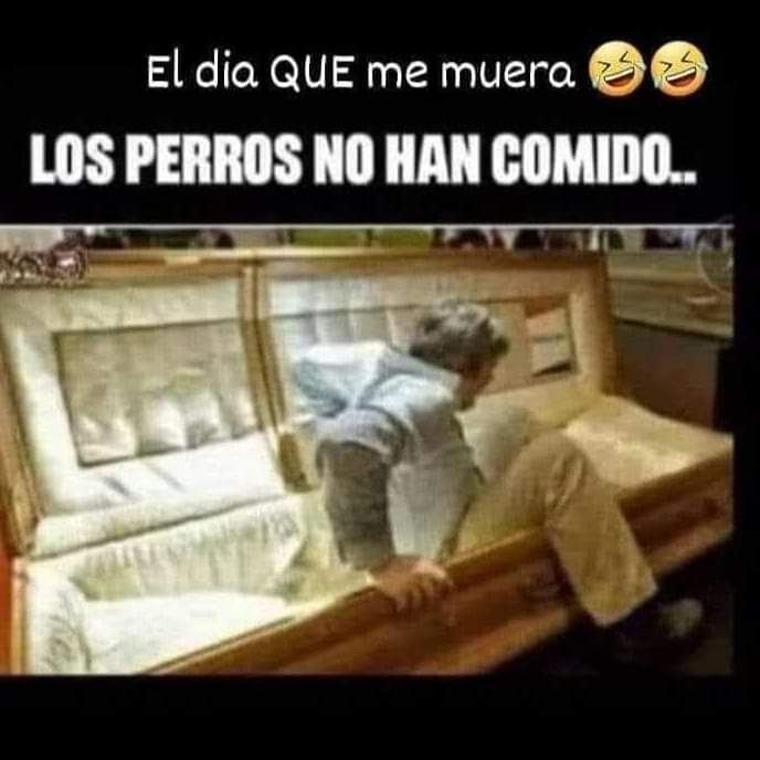 VirginiaBlanco6's tweet photo. Soy yo, no tengo duda. https://t.co/cjWbsihpRK