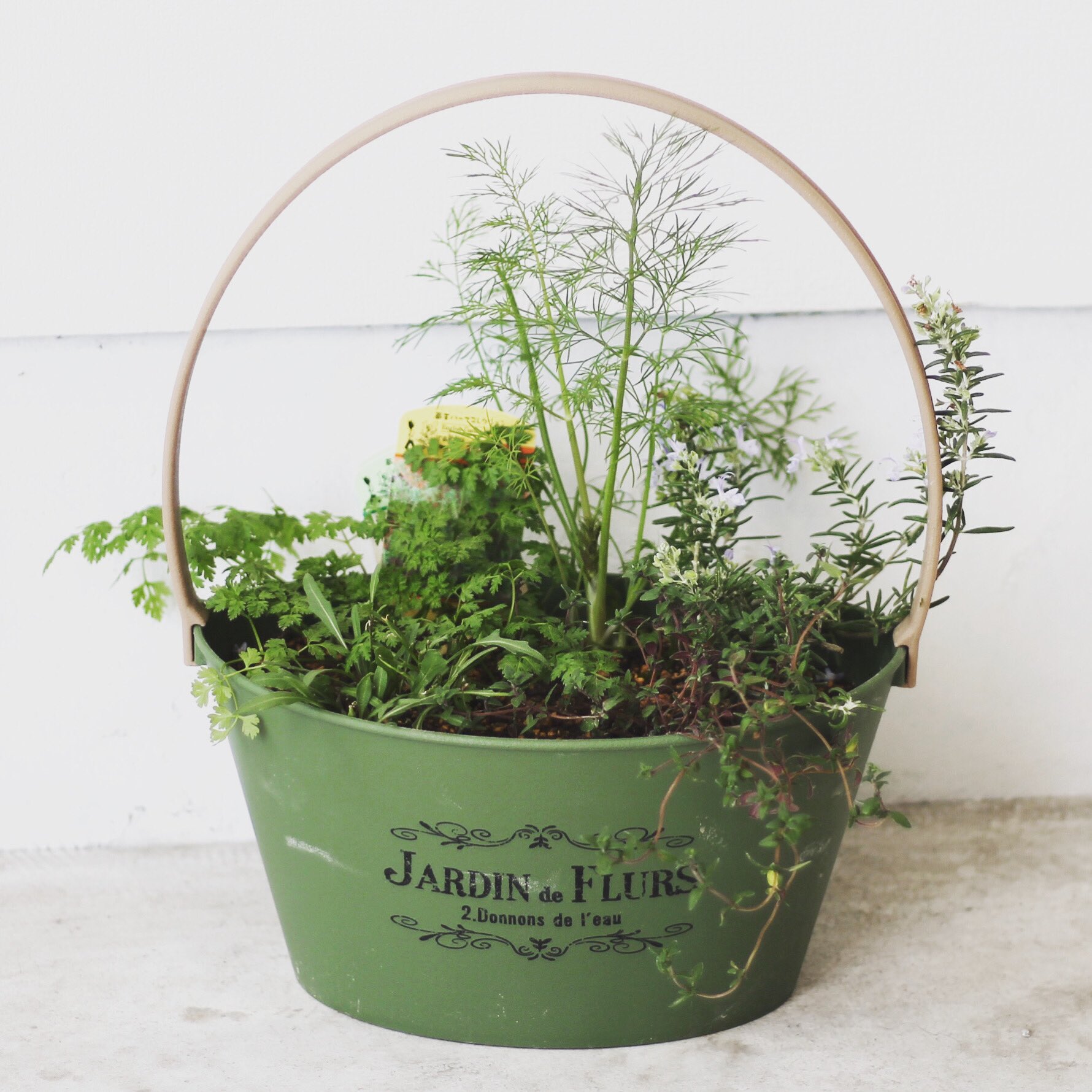 平間拓也 株 ざおうハーブ 料理に使えるハーブの寄せ植え作ってみました チャービル ディル ローズマリー セルバチコ タイム 取手がついてると持ち運びしやすいので 料理する時にサクッと持っていくイメージ ざおうハーブ ハーブ ハーブの