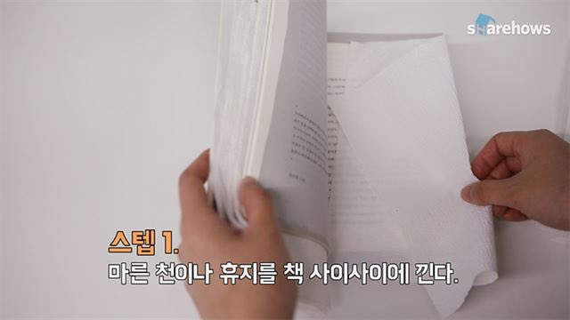 손지상@죽은 눈의소녀와분리수거기록부 tweet media