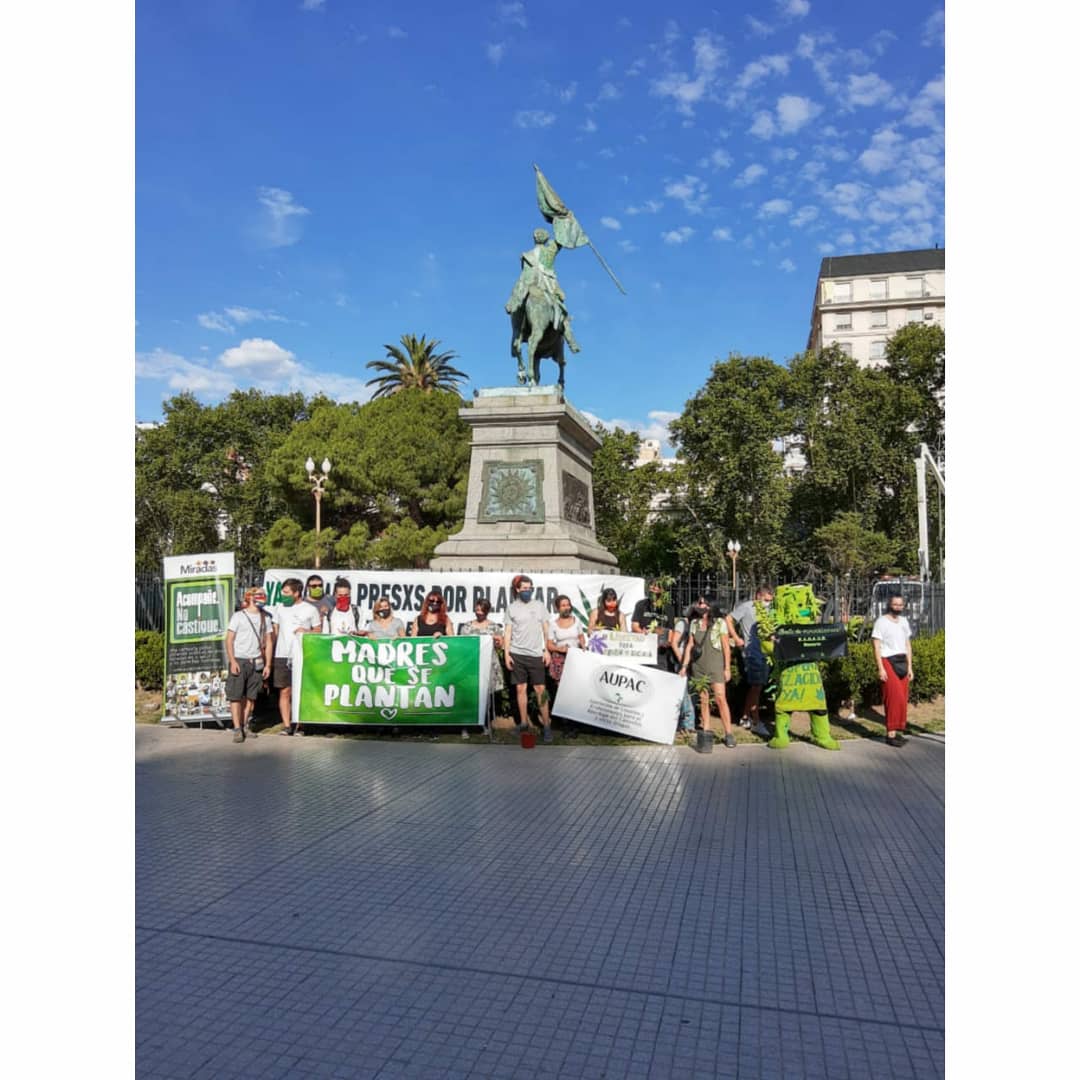 SePlantan's tweet photo. Seguimos en nuestra lucha🌱💚 https://t.co/qiDo49ZKpS